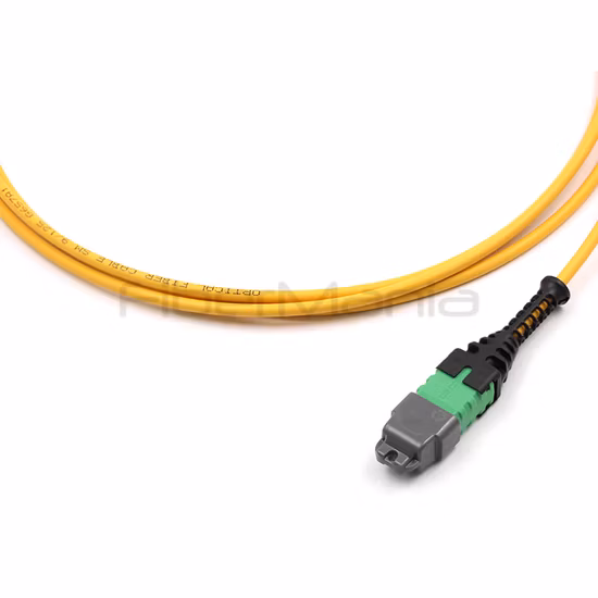 MTP/APC 암 - MTP/APC 암 트렁크 케이블 조립품, 12 섬유, 극성 A, 싱글모드 9/125